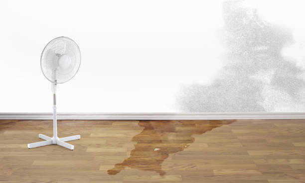 Best Water damage contractors near me  in West, TX