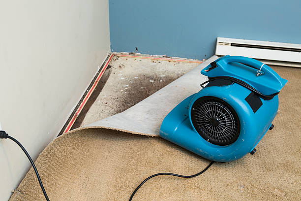 Best Flooded house restoration  in West, TX